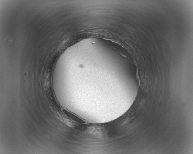 X0000080770708200701051302