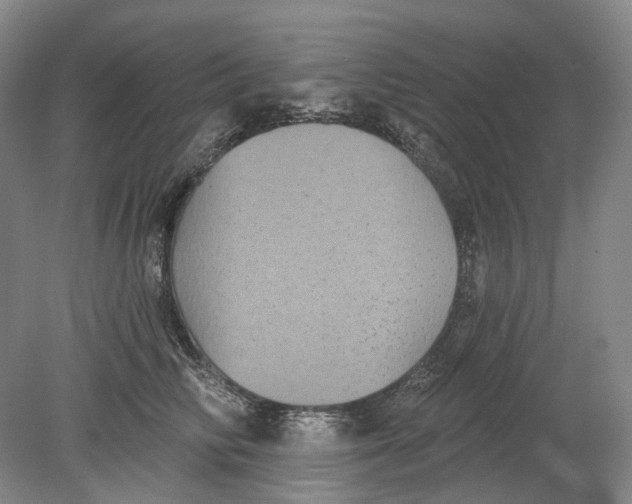 X0000080770710200701051302