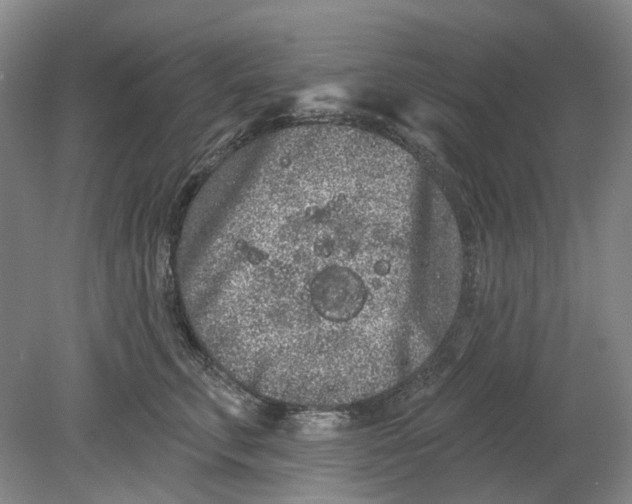 X0000080770711200701051302