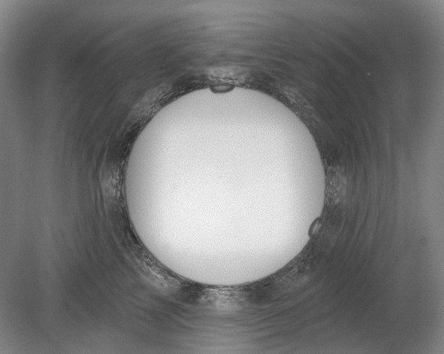 X0000080770713200701051302