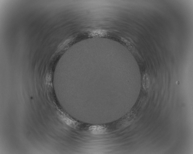 X0000080770714200701051302