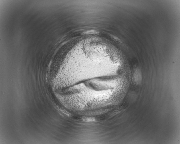 X0000080770715200701051302