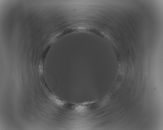 X0000080770718200701051302