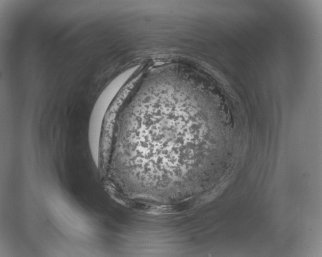 X0000080770720200701051302