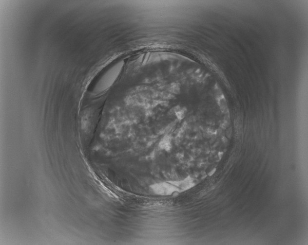 X0000080770721200701051301