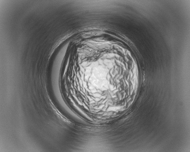 X0000080770725200701051301