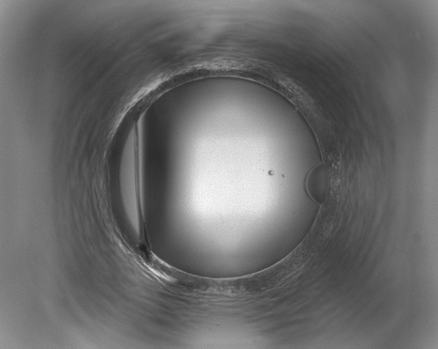 X0000080770727200701051301