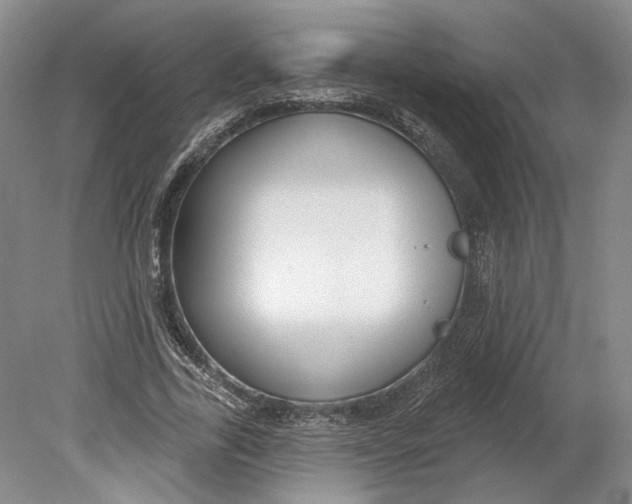 X0000080770731200701051301