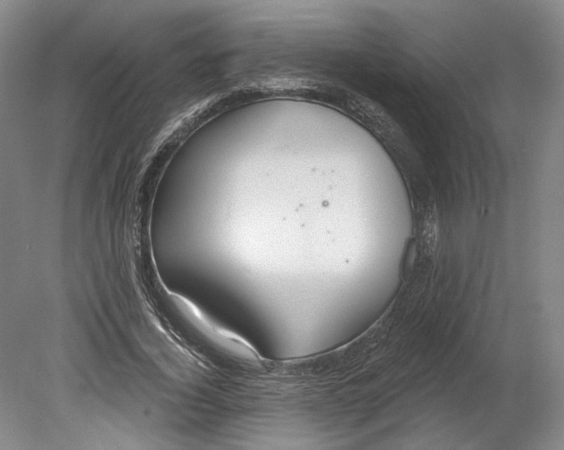 X0000080770732200701051301