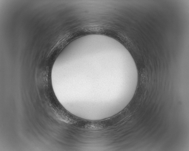 X0000080770739200701051301