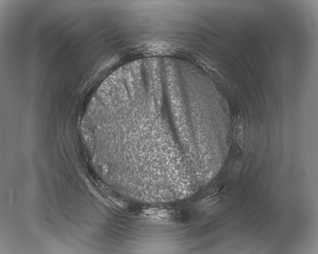 X0000080770742200701051301