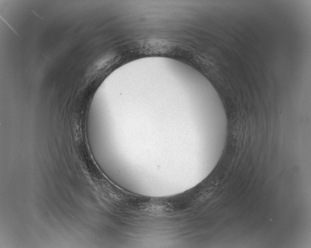 X0000080770743200701051301