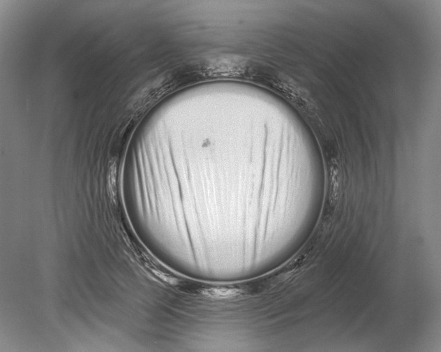 X0000080770745200701051301