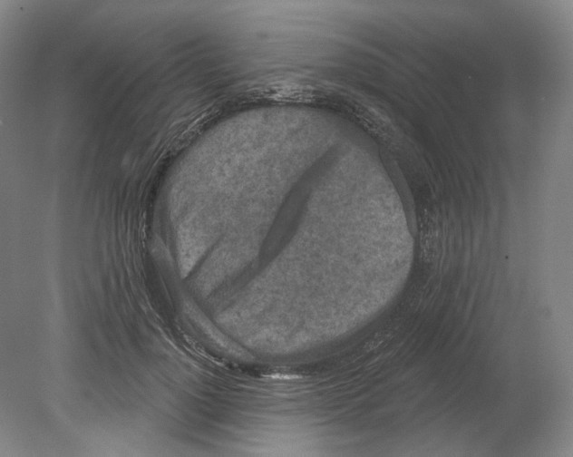 X0000080770748200701051301