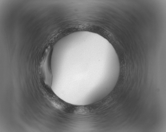 X0000080770750200701051301