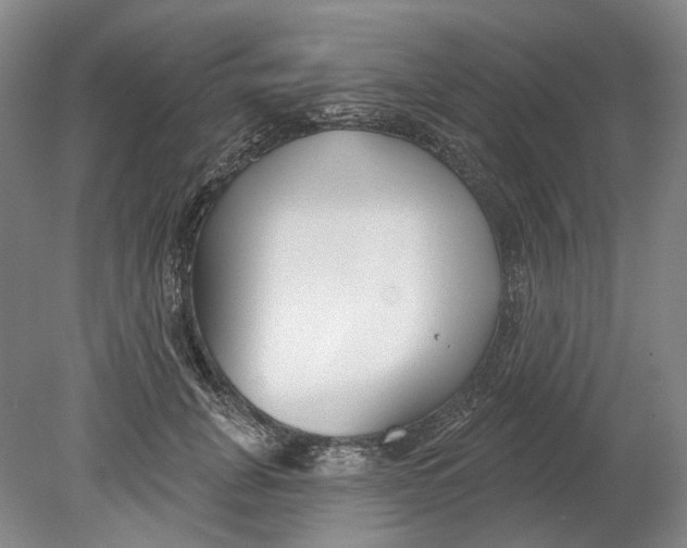 X0000080770751200701051301