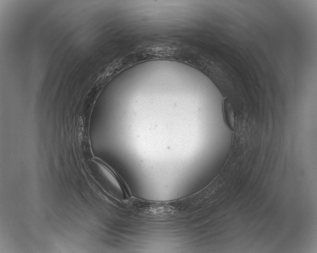 X0000080770752200701051301