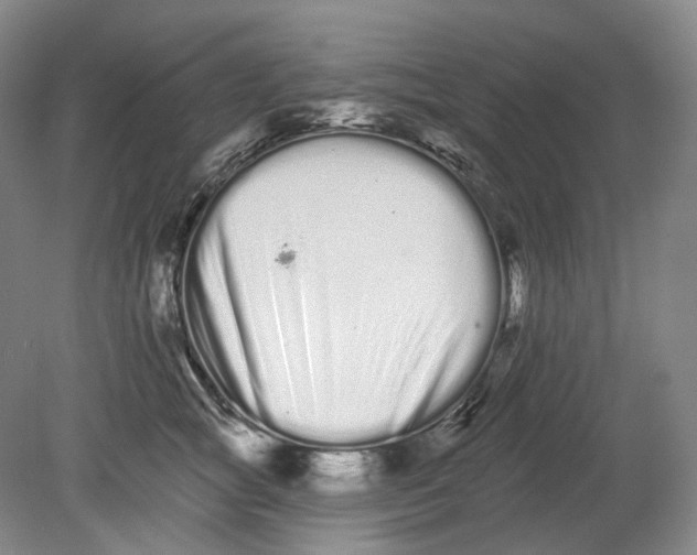 X0000080770757200701051301