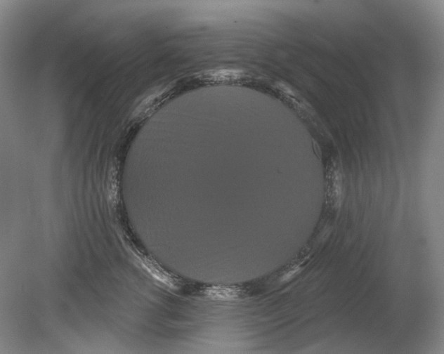 X0000080770762200701051302