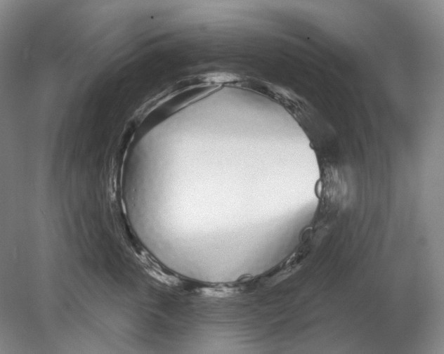 X0000080770763200701051302