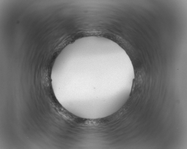 X0000080770764200701051302