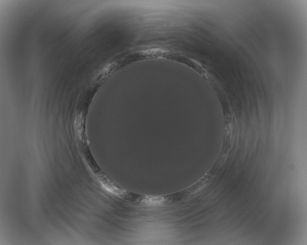 X0000080770767200701051302