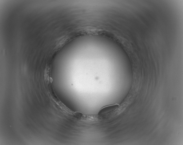 X0000080770768200701051302