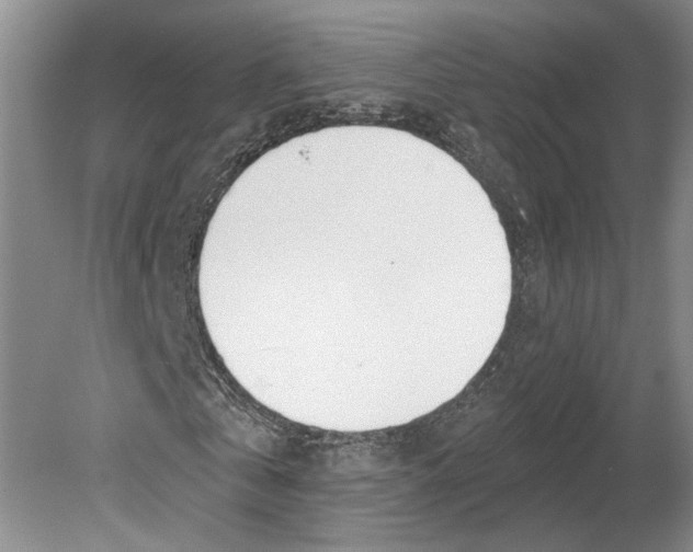 X0000080770769200701051301