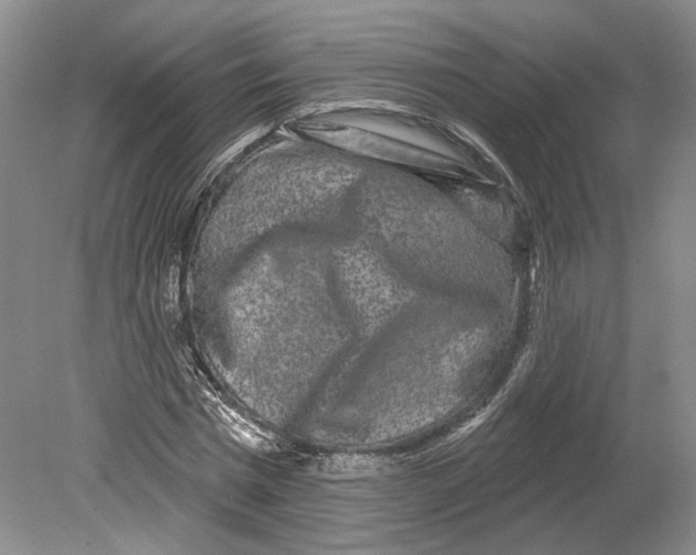 X0000080770777200701051301