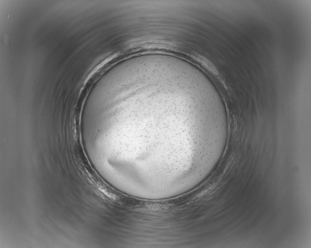 X0000080770782200701051301