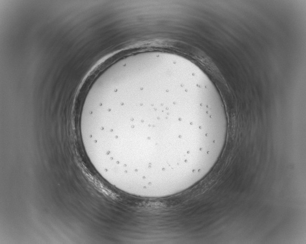 X0000080770784200701051301