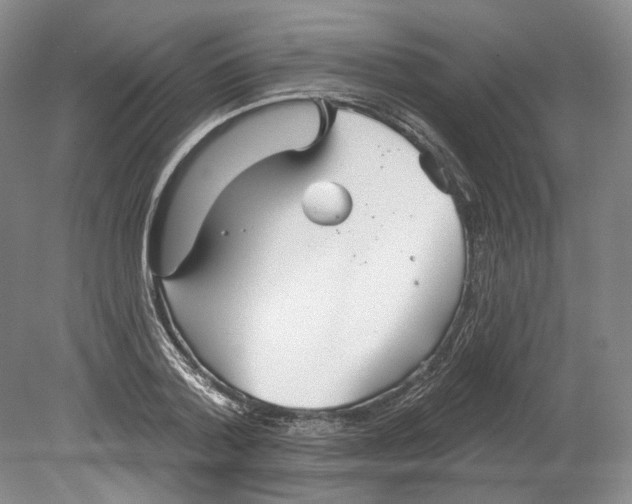 X0000080770788200701051300