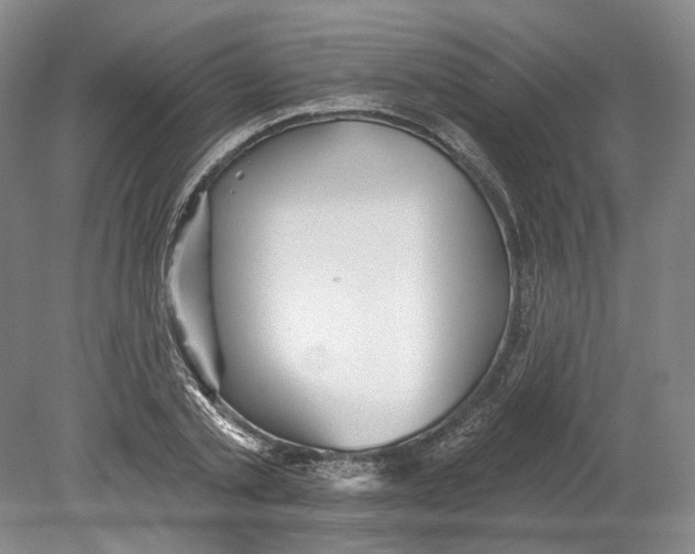 X0000080770789200701051300