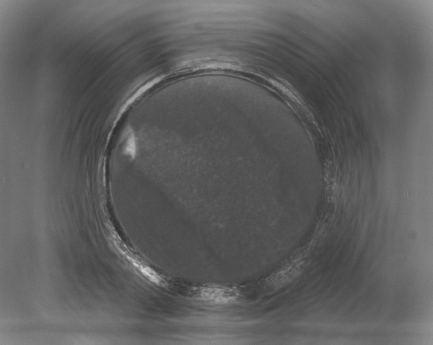 X0000080770790200701051300