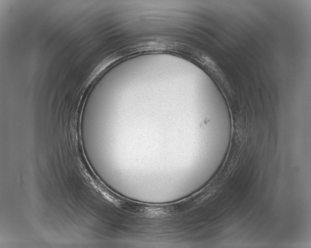 X0000080770794200701051300