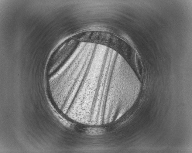 X0000080770795200701051300