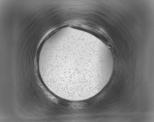 X0000080770796200701051300