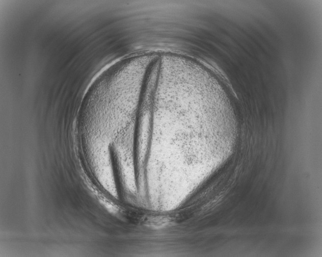 X0000080770798200701051300