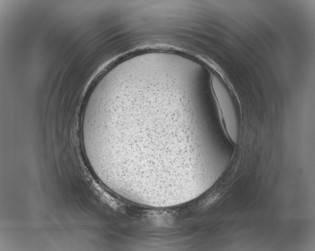 X0000080770799200701051300