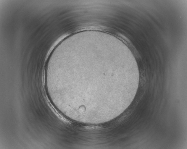 X0000080770804200701051300