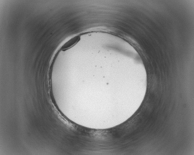 X0000080770808200701051300