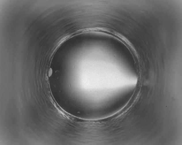 X0000080770809200701051300