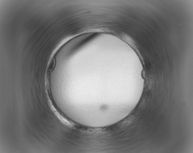 X0000080770811200701051300