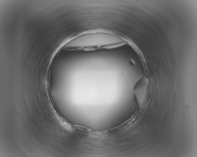 X0000080770813200701051300