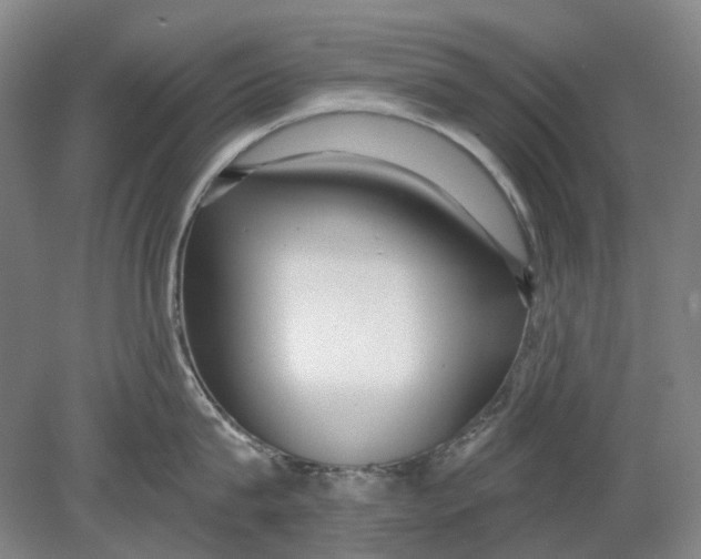 X0000080770815200701051300