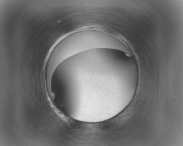 X0000080770816200701051300