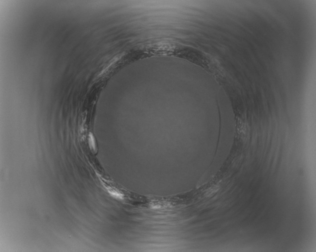 X0000080770818200701051259