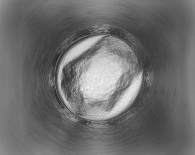 X0000080770819200701051259