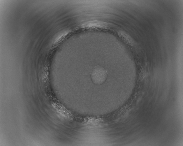 X0000080770824200701051259