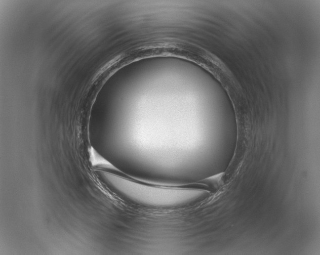 X0000080770826200701051259